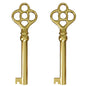 KY-3 Hollow Barrel Replacement Skeleton Key (Pack of 2, Brass)