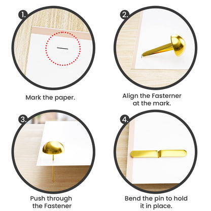 Paper Fasteners Round with White Paper Box for Decorative Scrapbooking DIY Ar...