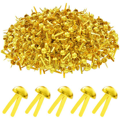 Paper Fasteners Round with White Paper Box for Decorative Scrapbooking DIY Ar...